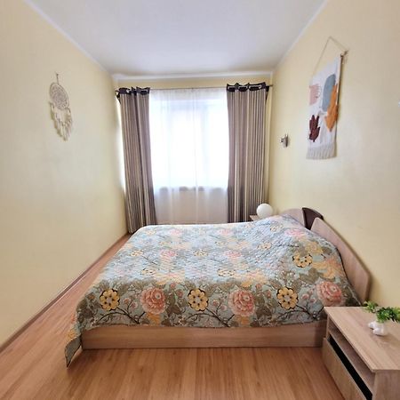 Giedres Apartaments-Alkava 考纳斯 外观 照片