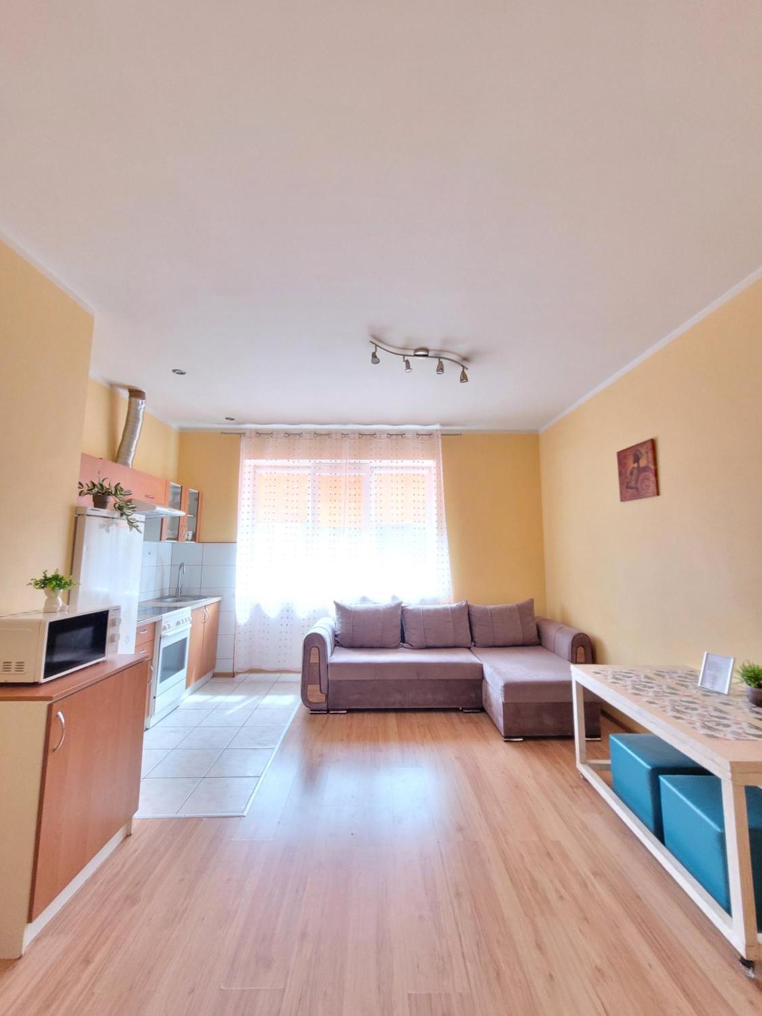Giedres Apartaments-Alkava 考纳斯 外观 照片